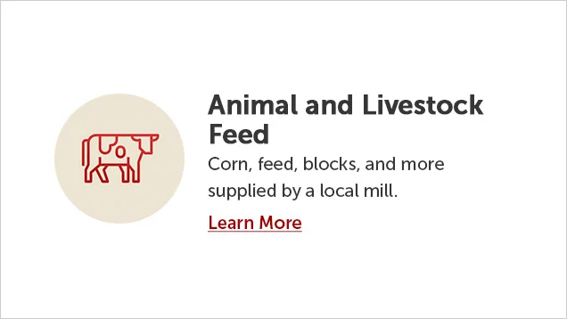 Animal and Livestock Feed