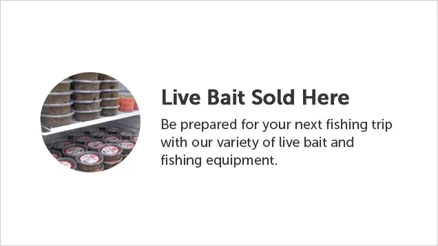 Live Bait Sold Here