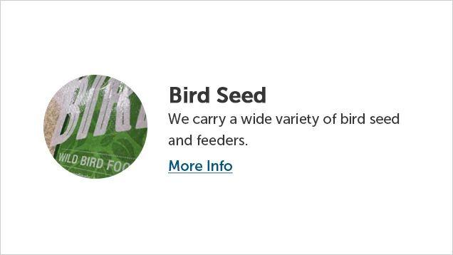 Bird Seed