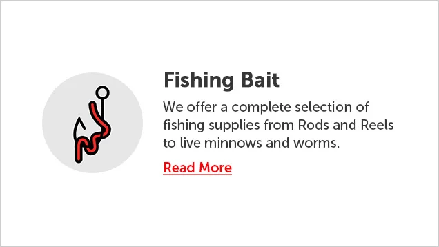 Fishing Bait