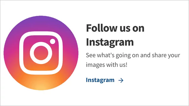 Follow us on Instagram