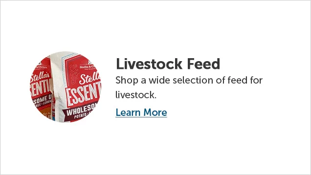 Livestock Feed