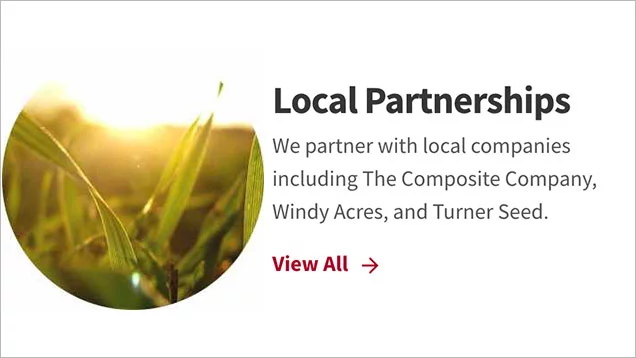 Local Partnerships