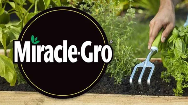 Miracle Gro