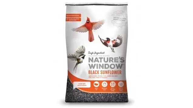 Nature's Window Black Oil Sunflower