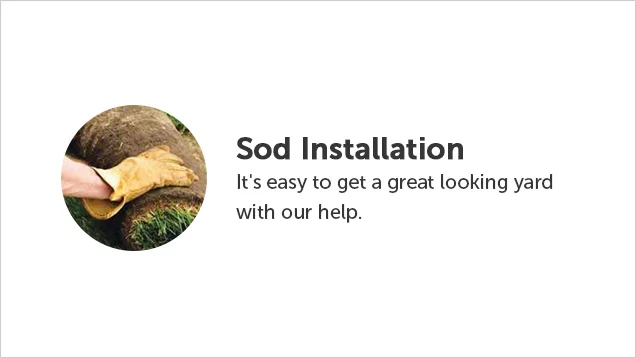 Sod Installation