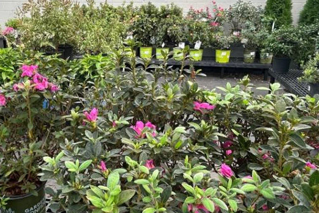 project gallery image 9