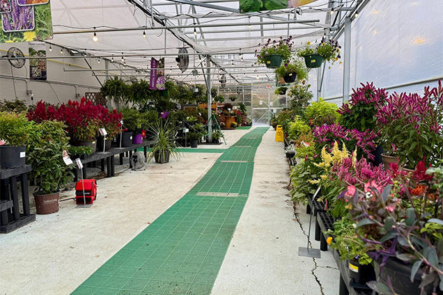 project gallery image 5