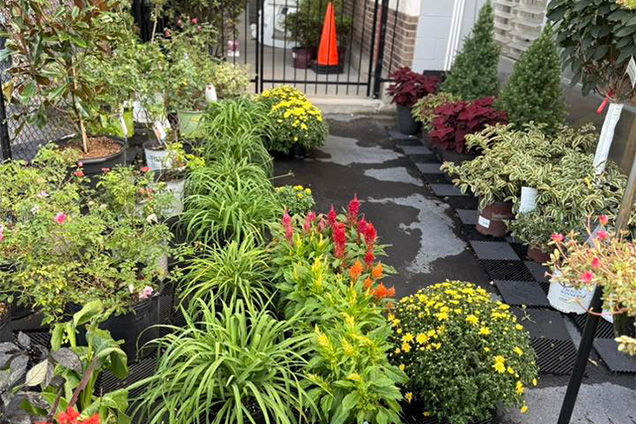 project gallery image 6