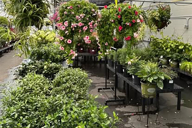 project gallery image 10