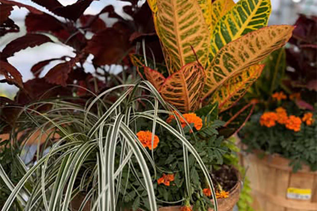 project gallery image 7