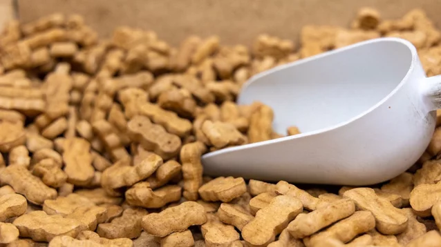 pet food and treats