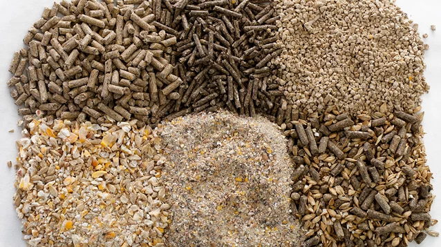 all animal feeds