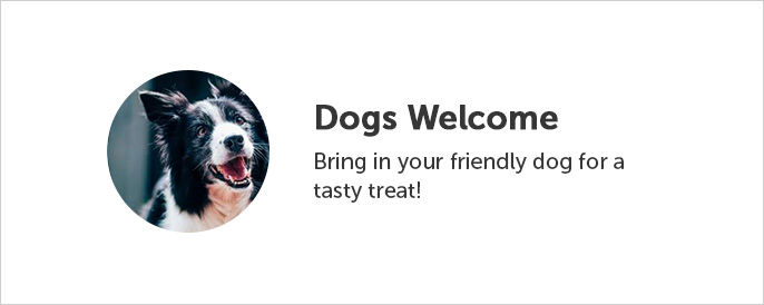 Dogs welcome