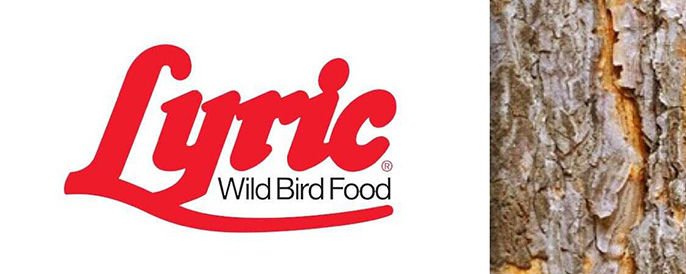 Lyric Bird Food logo with bird on tree