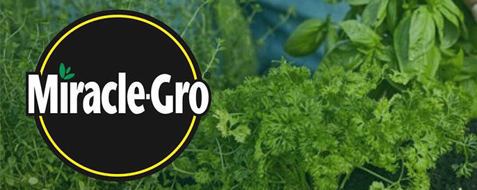 Miracle Gro
