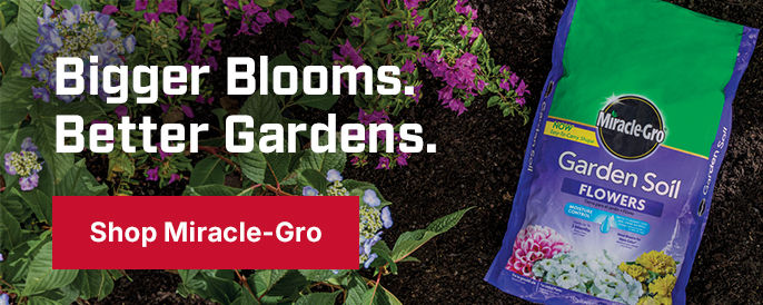 Bigger Blooms. Better Gardens. Shop Miracle-Gro