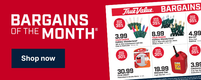 Bargains of the Month – Save up to 39% on this month's deals!