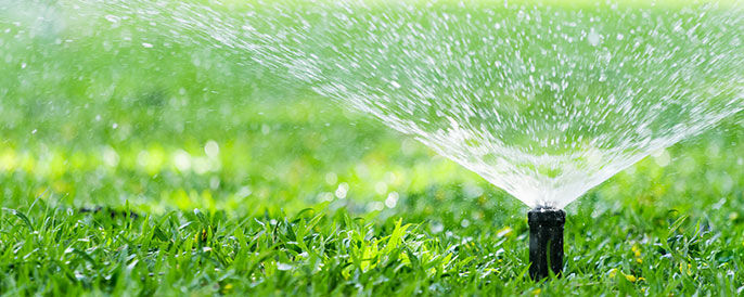 Sprinkler system in yard