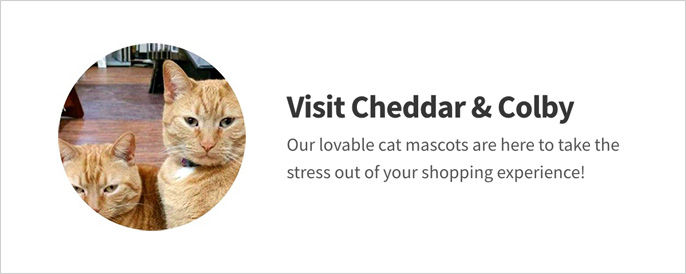 Visit Cheddar & Colby