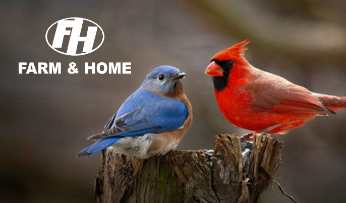 Farm & Home logo with a blue bird and cardinal on the right hand side of the image 