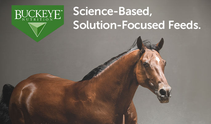 Buckeye Nutrition - Brown horse on the left side - "Science-Based, Solution-Focused Feeds.
