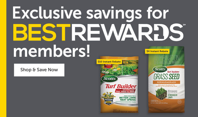 Exclsuive savings for Best Rewards members! Shop & Save Now