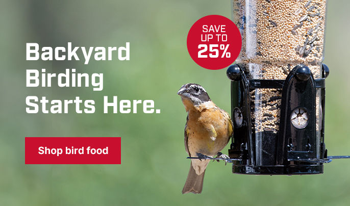 Backyard Birding Starts Here. Save up to 25% on bird food!