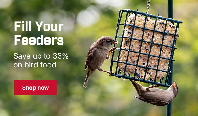 Save up to 33% and fill your feeders! | Shop bird food
