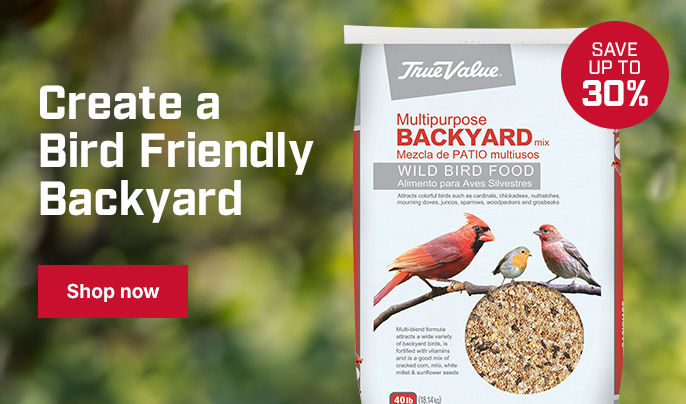 Create a Bird Friendly Backyard with Up to 30% off on Bird Food
