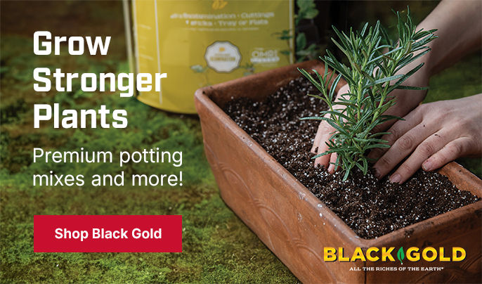 Grow Stronger Plants with Premium Potting Mixes and More! Shop Black Gold