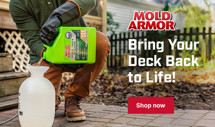 Bring your deck back to life - Home Armor