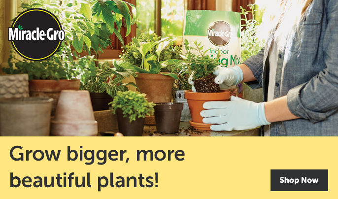 Miracle Gro logo - Grow bigger, more beautiful plants! Shop Now