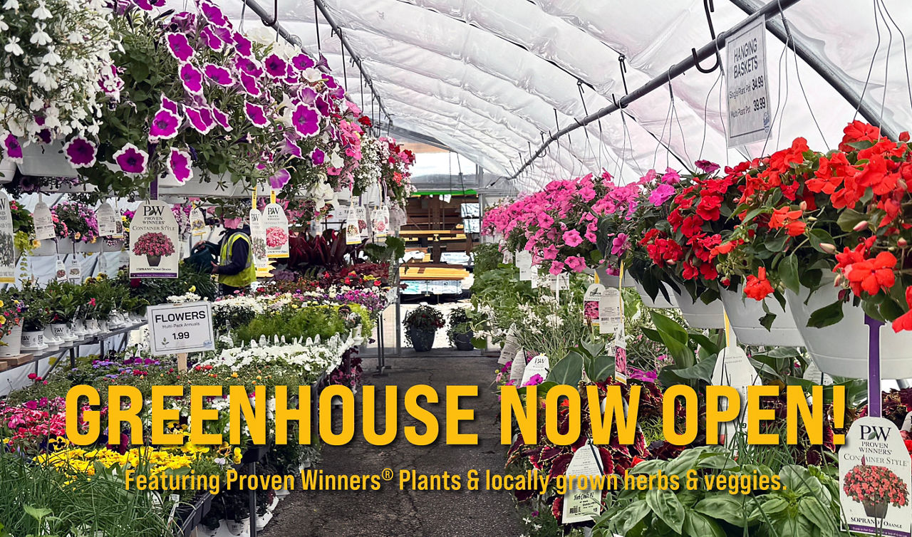 greenhouse open at Chambers Street