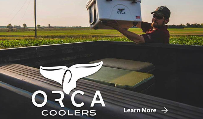 Orca coolers