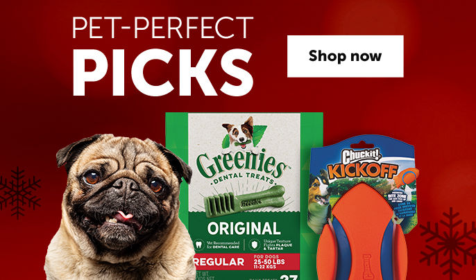 Pet Perfect Picks — Shop Gifts for Pets