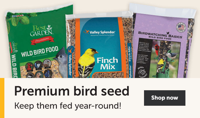 Premium bird seed - Keep them fed year-round! Shop now 