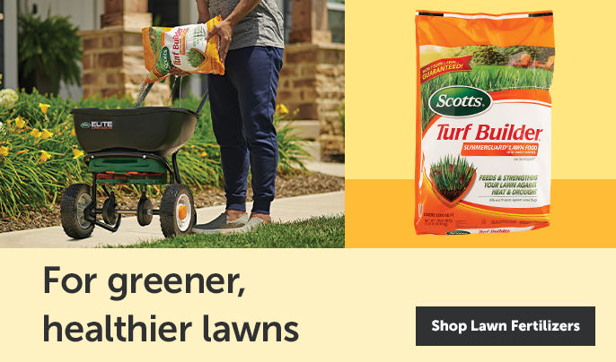 Shop Lawn Fertilizer