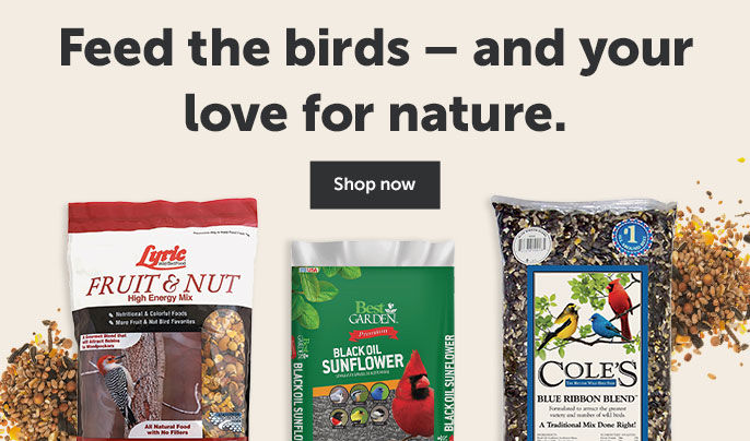 Spring Bird Feeding - Shop Bird Seeds