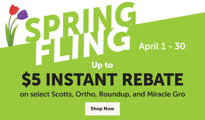 Spring Fling Instant Rebate
