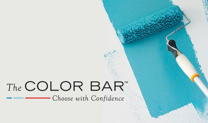 The Color Bar