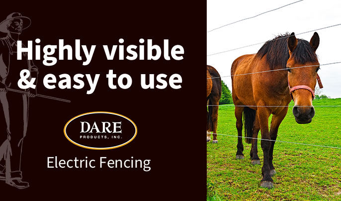 Highly visible and easy to use Dare Electric fencing - three horses standing in a green grassy field behind an electric fence