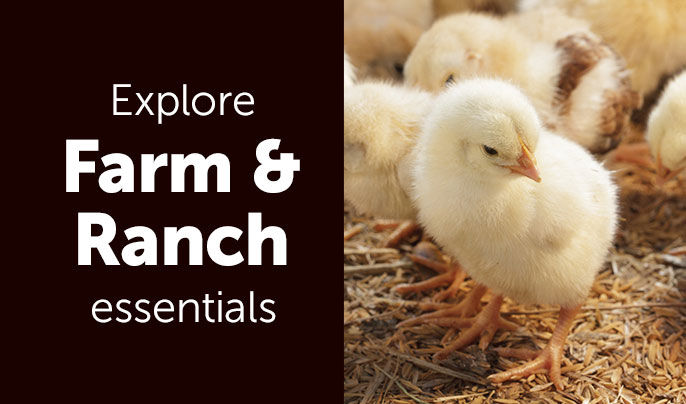Explore Farm & Ranch essentials