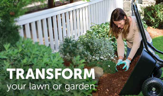 Transform your lawn or garden