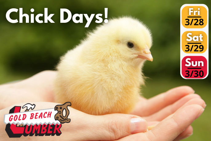 Chick Days Happening at Gold Beach March 28th, 29th and 30th