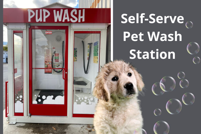 Self-Serve Pet Wash Station