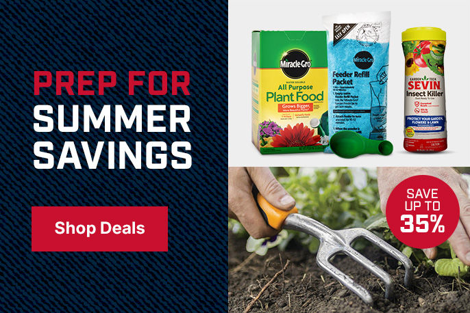 Prep for Summer Savings! Shop now