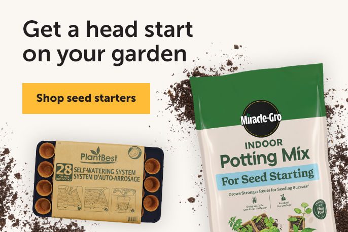 Get a head start on your garden - Shop seed starters