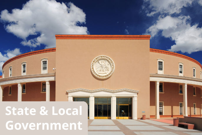 State & Local Government