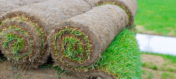 Rolls of sod